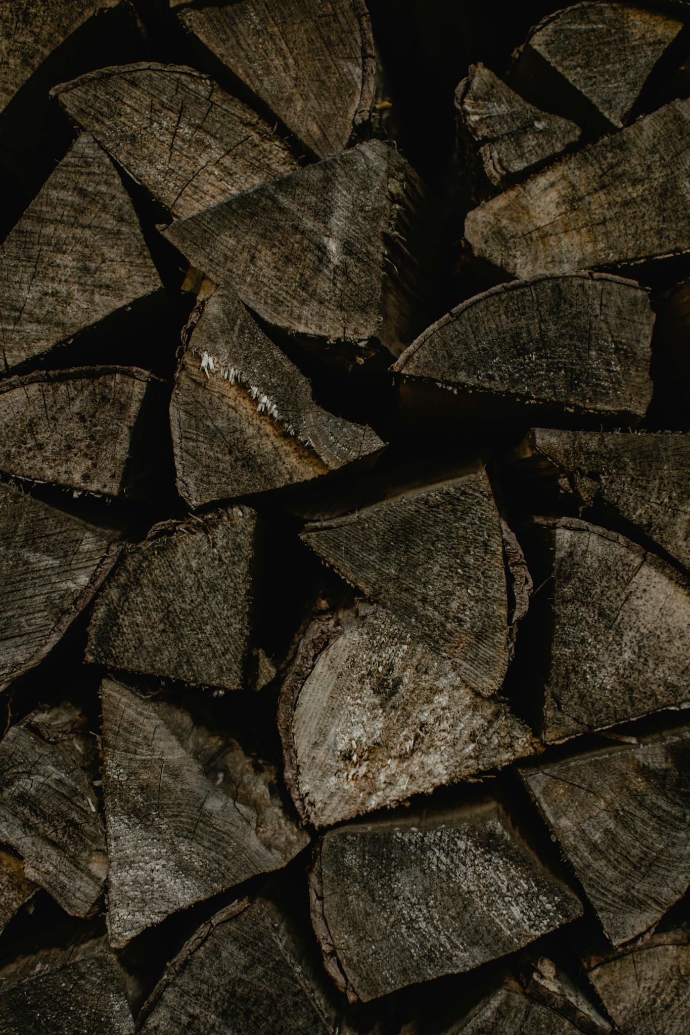 Close-up of stacked firewood in Estonia, showcasing natural textures.
